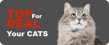 Deal for Cats